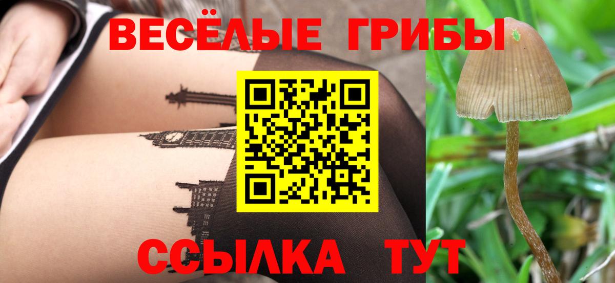 Псилоцибиновые грибы MAGIC MUSHROOMS  Вход с VPN  Ярославль 